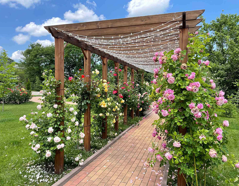Спа-отель Green Resort Hotel & Spa г. Кисловодск